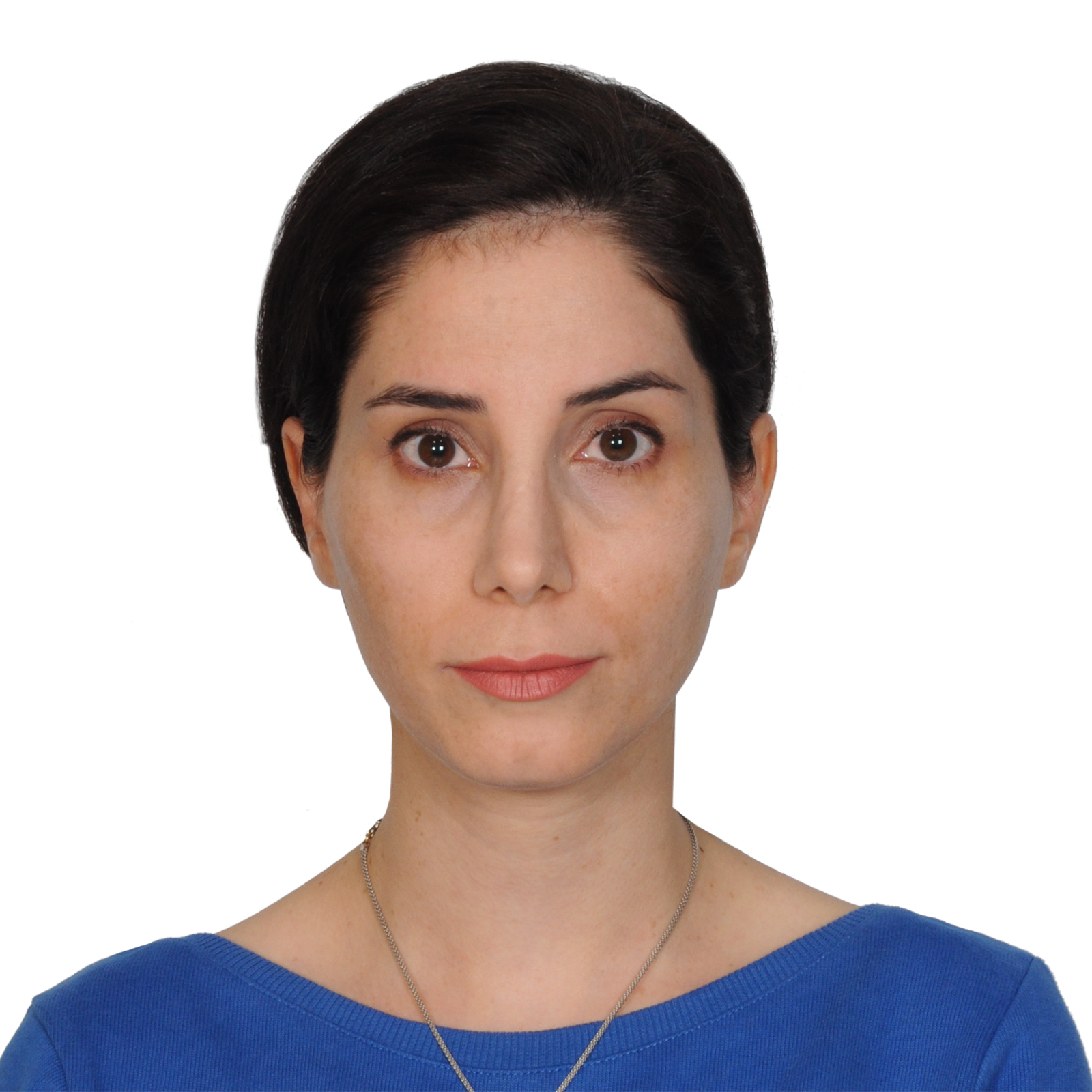 Portrait of Hamideh Delaram